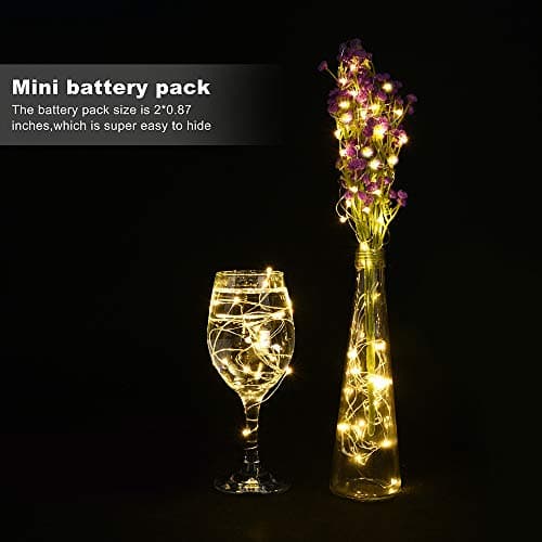24 Pack Battery Operated Silver Warm White Fairy Lights for Parties and Decor