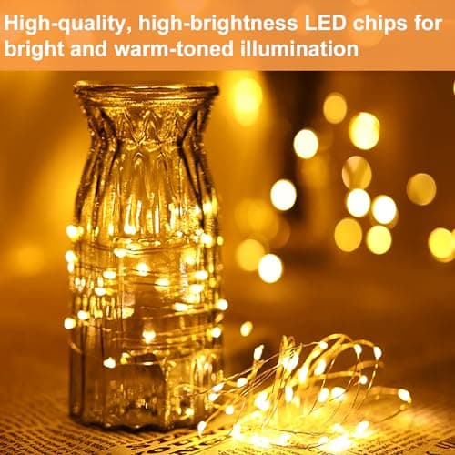 24 Pack Battery Operated Silver Warm White Fairy Lights for Parties and Decor