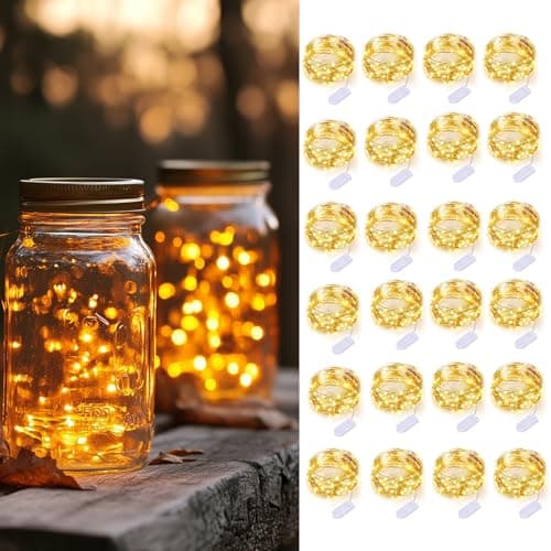 24 Pack Battery Operated Silver Warm White Fairy Lights for Parties and Decor